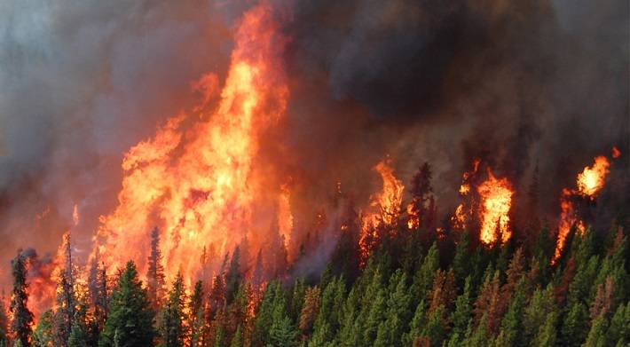 Wildfire BC
