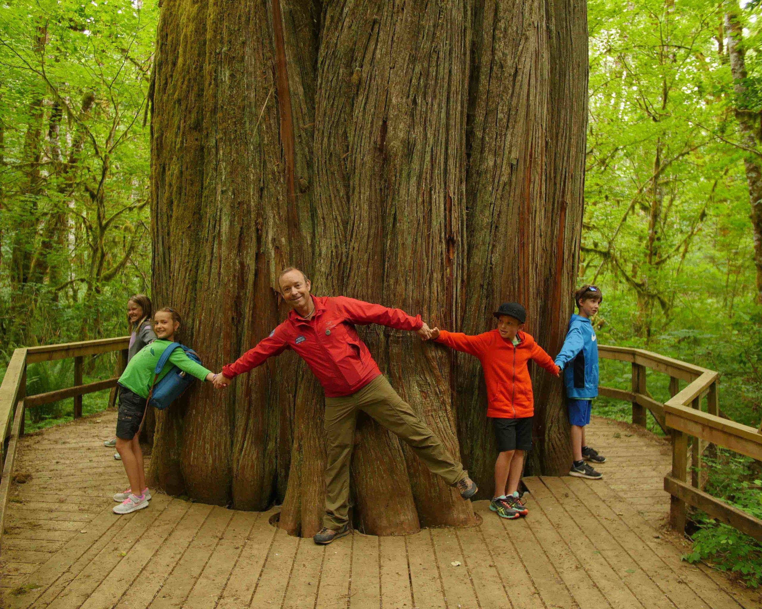 Kids holding hands around large old growth tree
