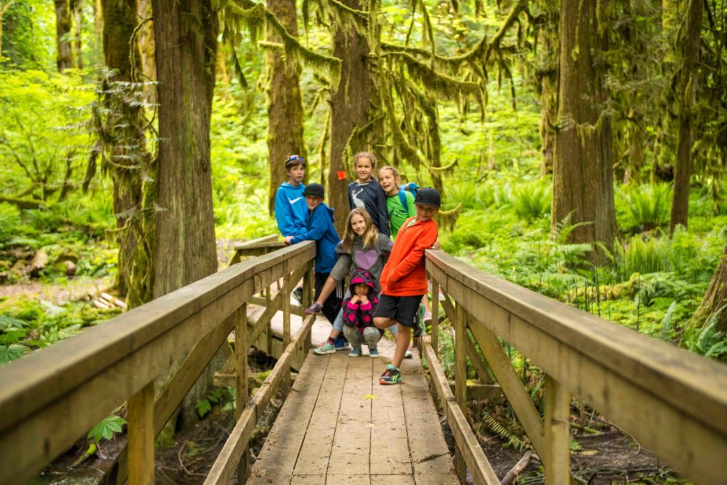 Kids on bridge in forest